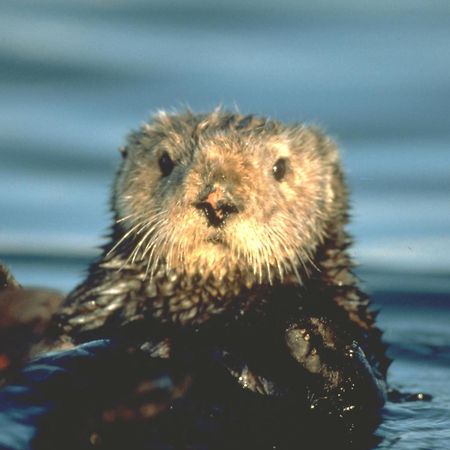 Monterey Bay Inn Eksteriør billede