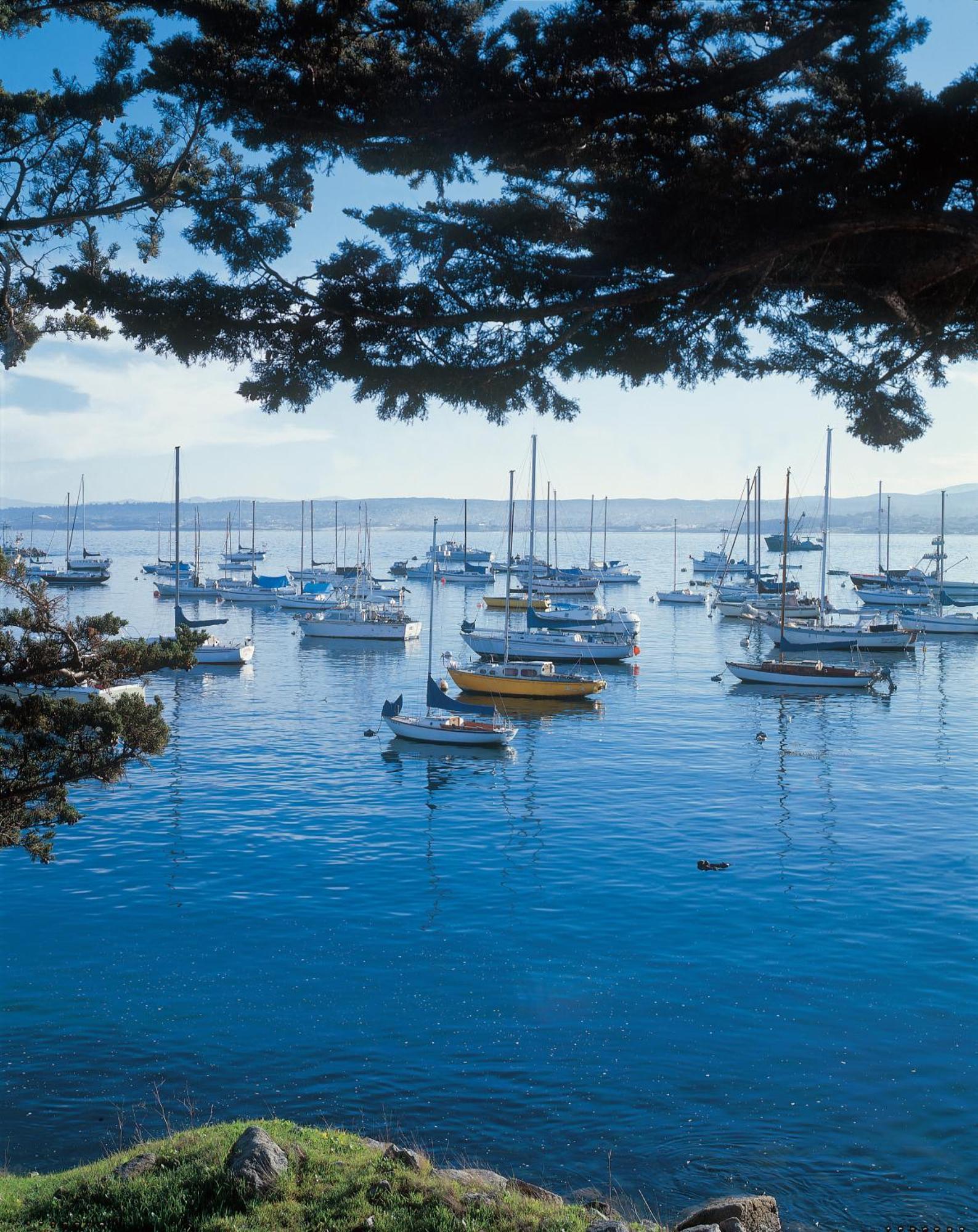 Monterey Bay Inn Eksteriør billede